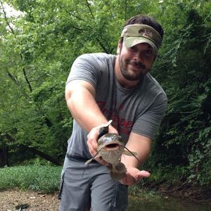 Meet your Posher, Robby